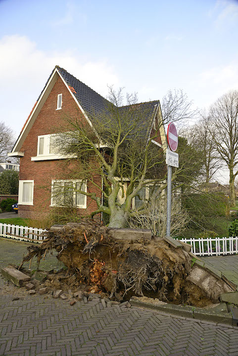 2022/44/20220218-16u49 GB 002 Stormschade Kwartelstraat.jpg